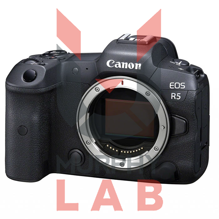 CANON EOS R5