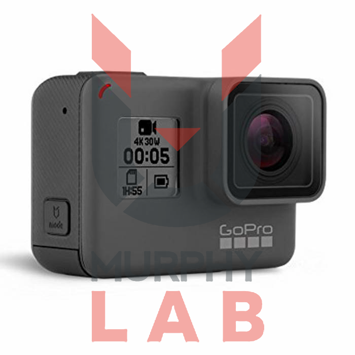 GOPRO Hero 5 Black con frame