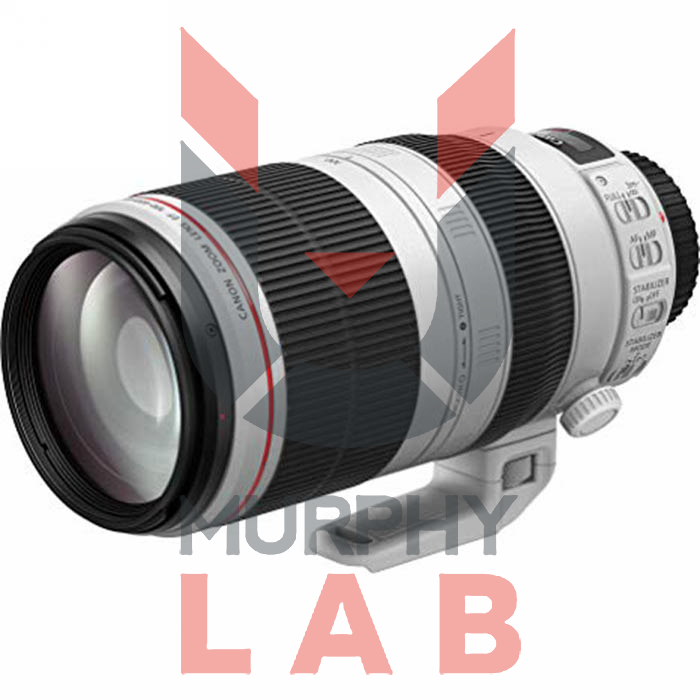 CANON EF 100-400mm f/4,5-5,6 L IS