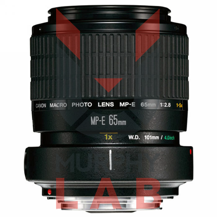 CANON EF MP-E 65mm f/2,8 1-5x macro